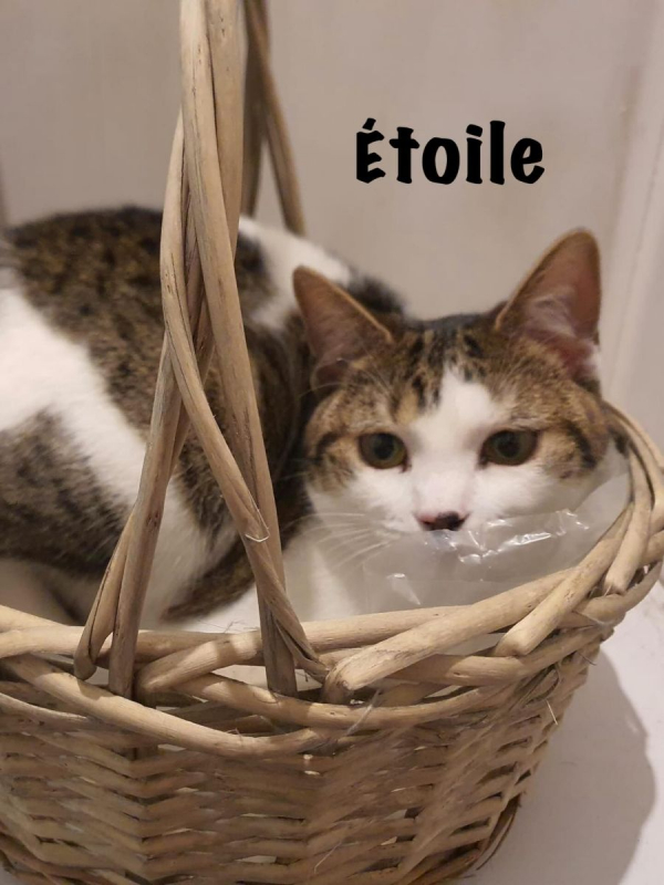 Photo #8 de ETOILE