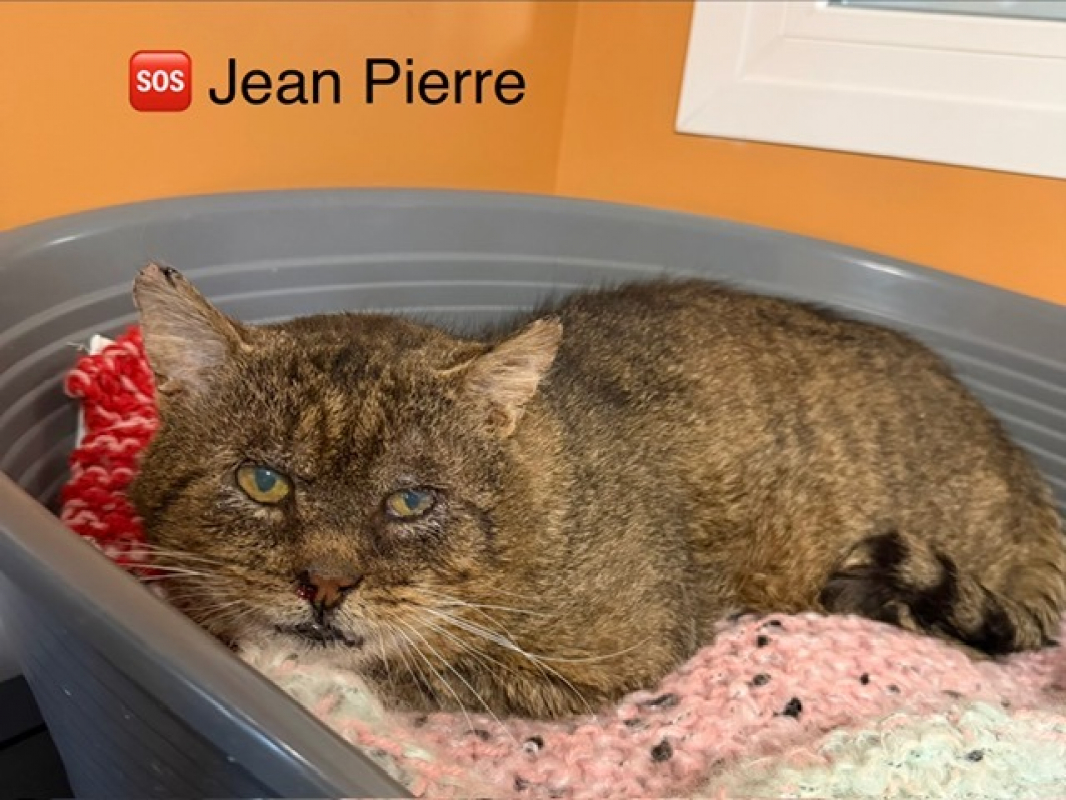 Photo de Jean pierre