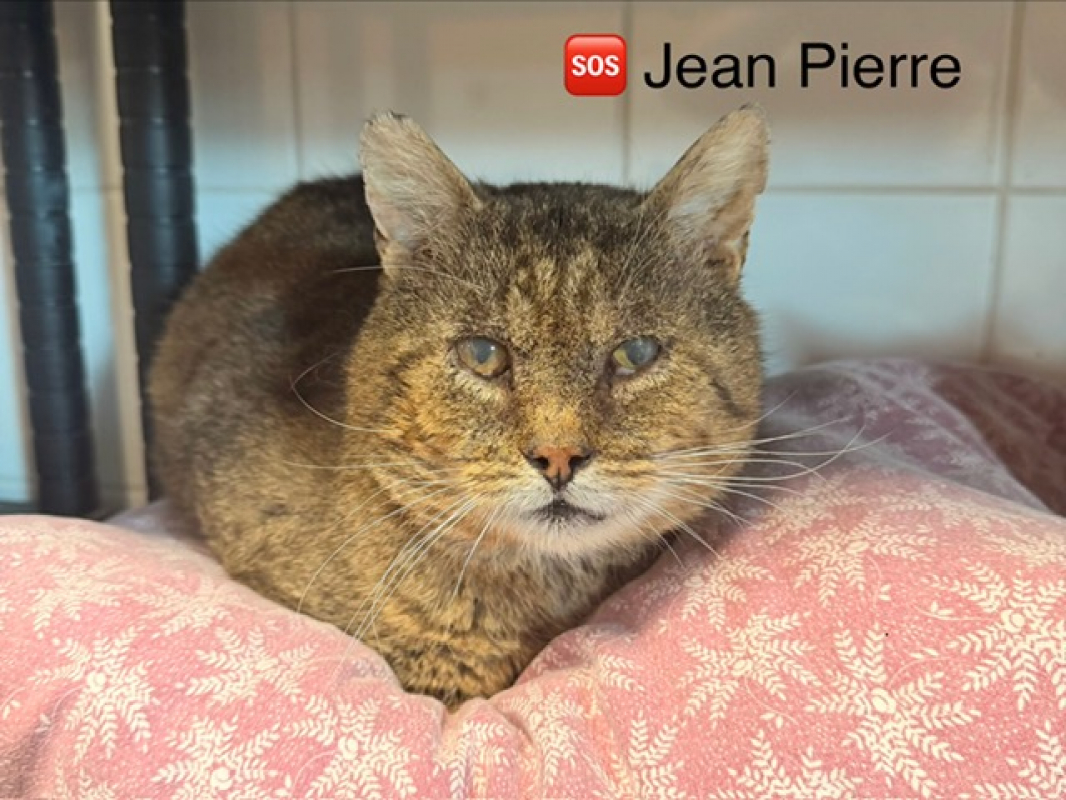 Photo #1 de Jean pierre