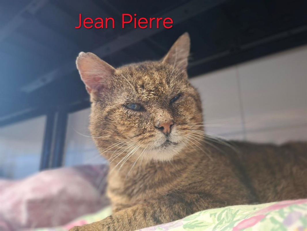 Photo #2 de Jean pierre