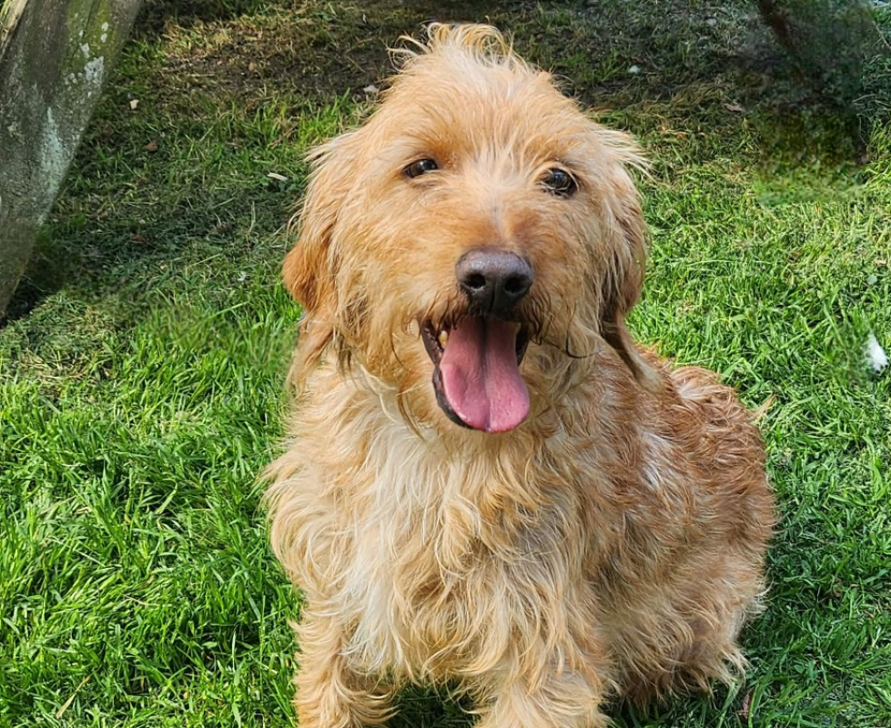 Photo #1 de Tonnerre