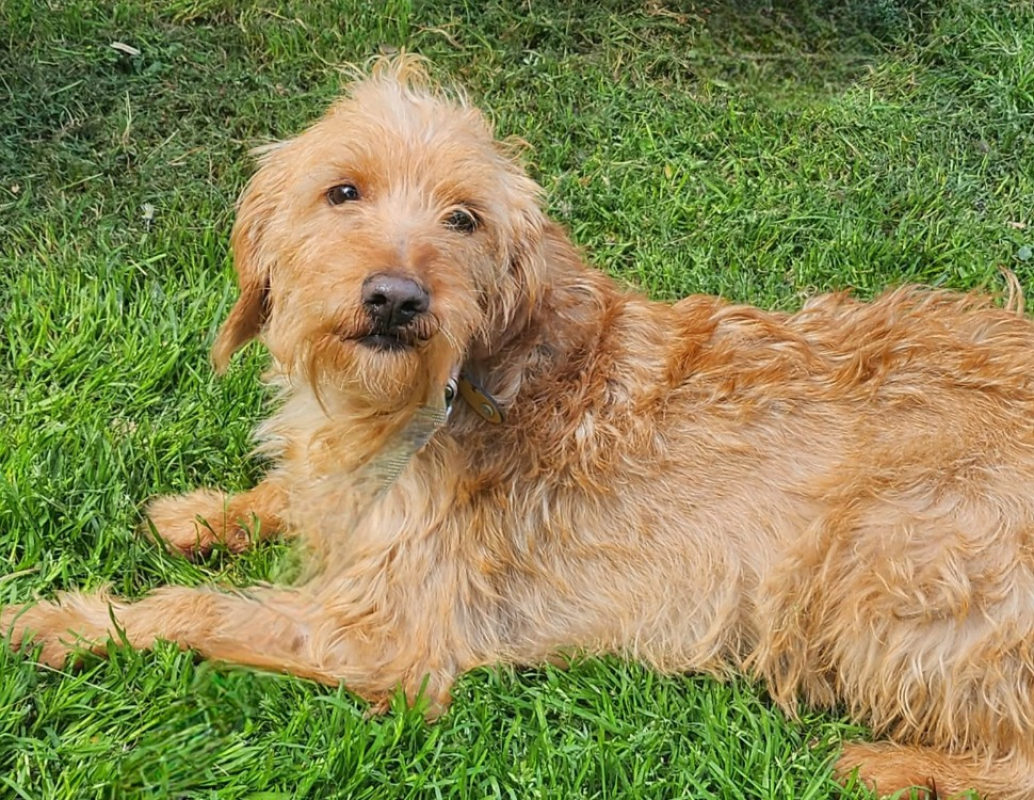 Photo #2 de Tonnerre