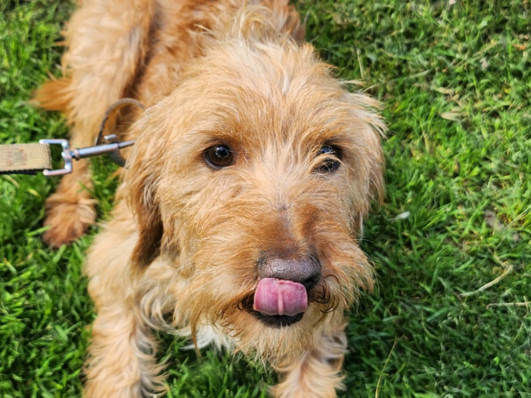 Photo #3 de Tonnerre