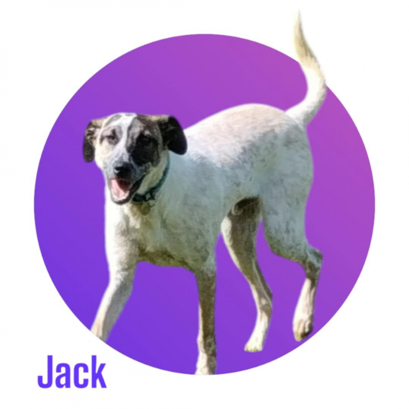 Photo #7 de JACK
