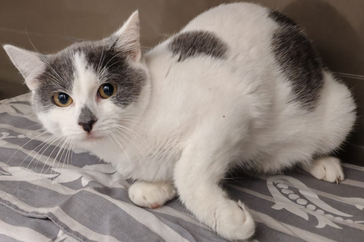 Photo de Croutard2.o