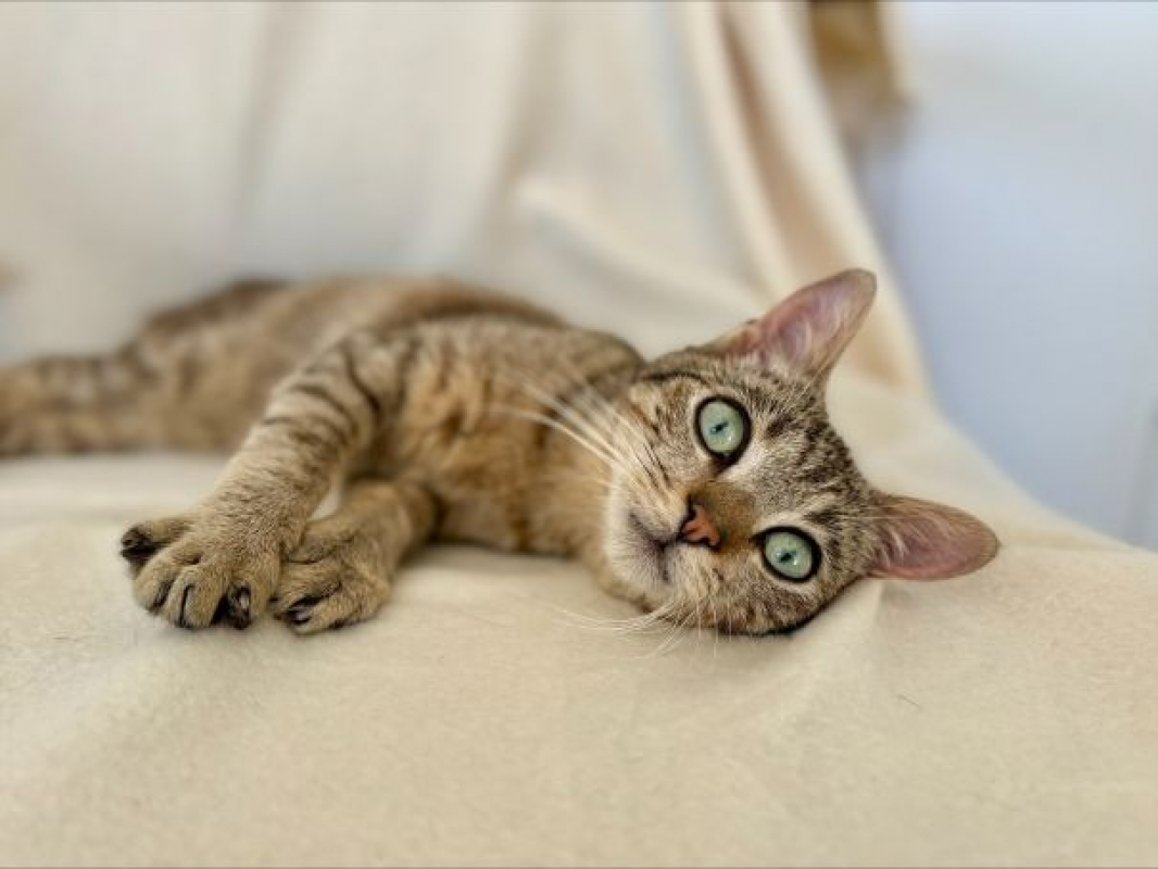 Photo #1 de Aberdeen