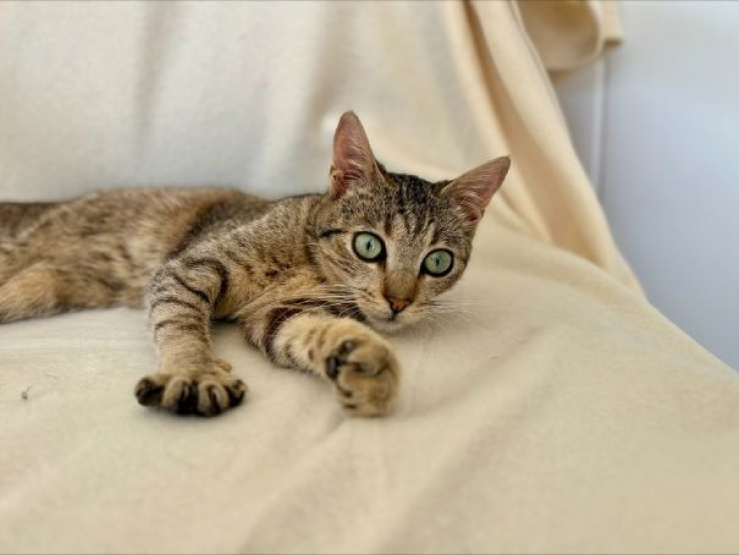 Photo #2 de Aberdeen