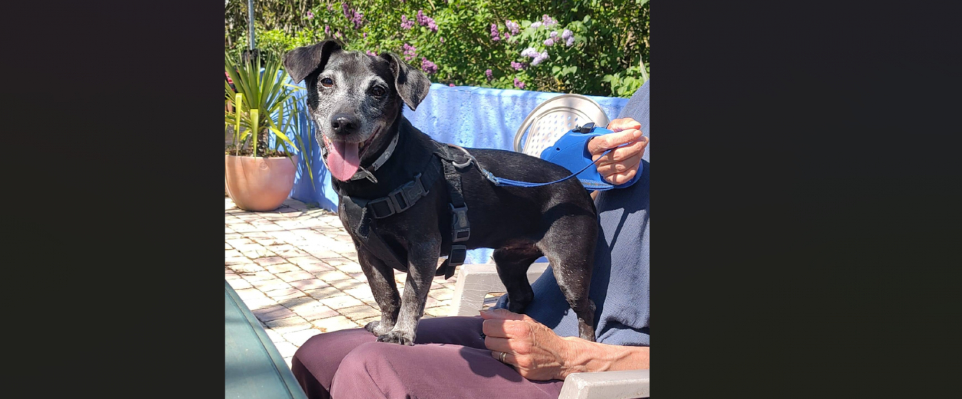 Photo #1 de Charlotte