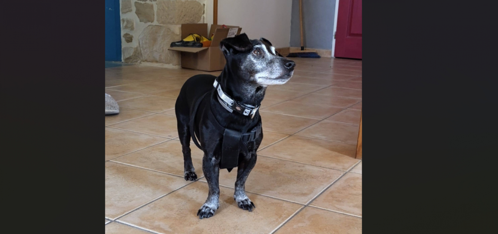 Photo #2 de Charlotte