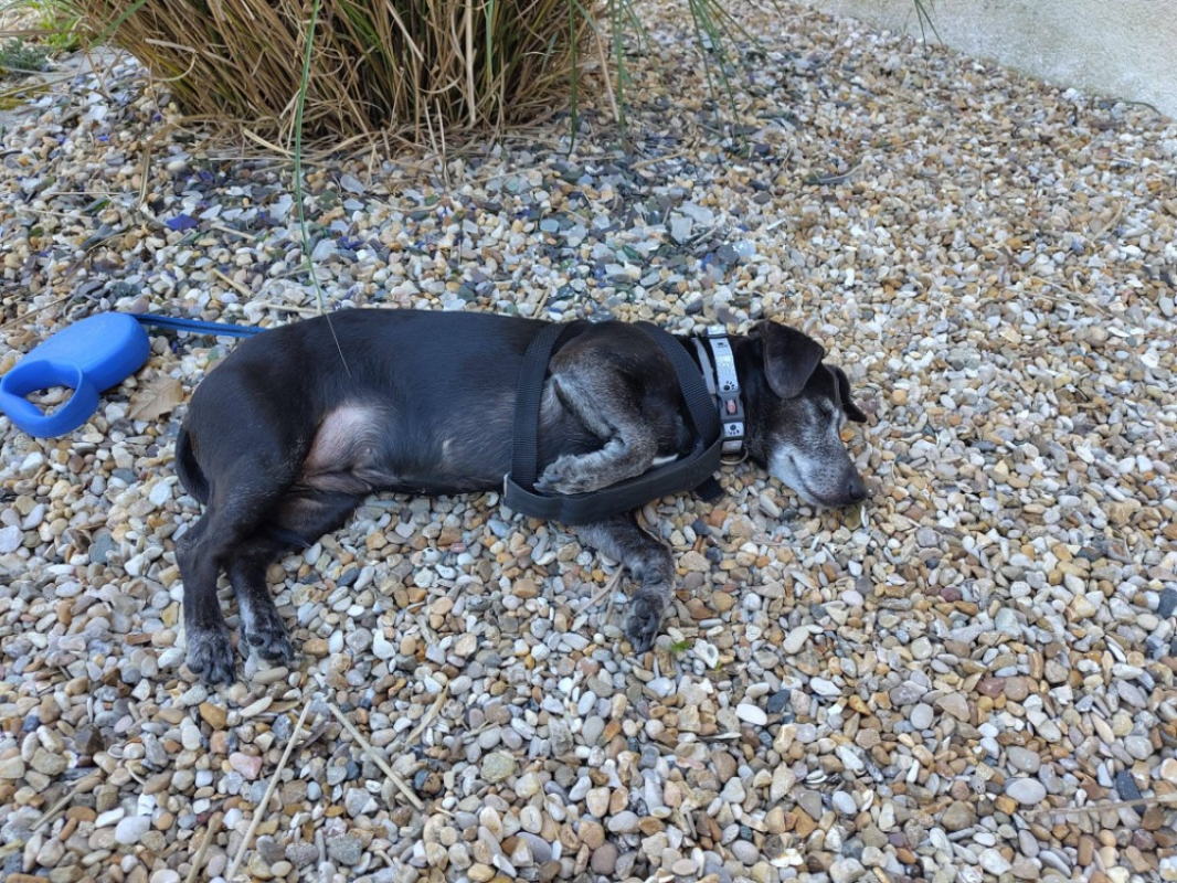 Photo #3 de Charlotte