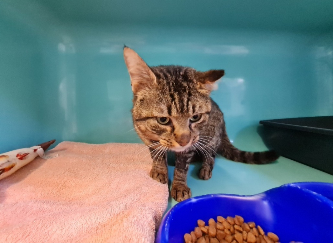 Photo de Espoir promis