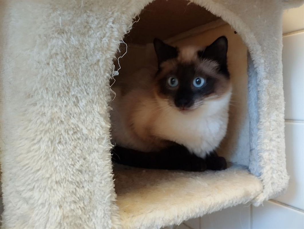 Photo de Mino