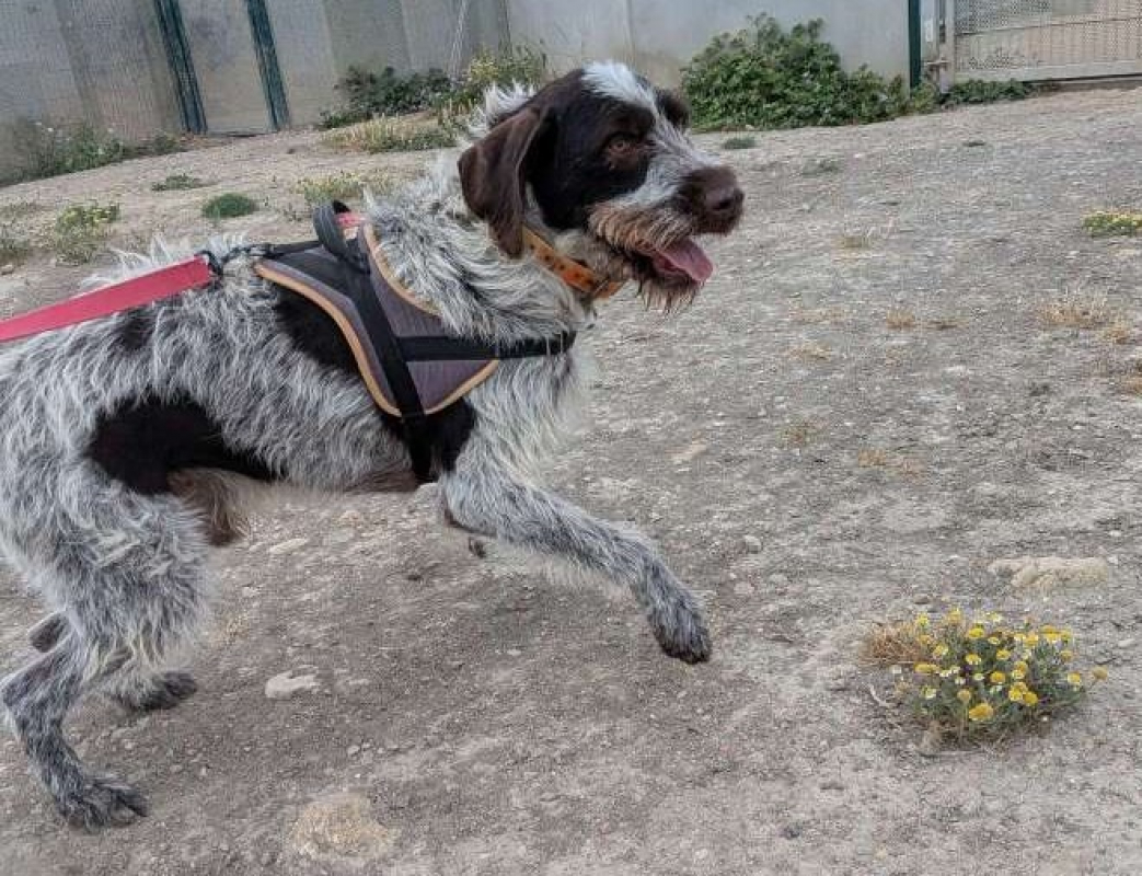 Photo #1 de Albus