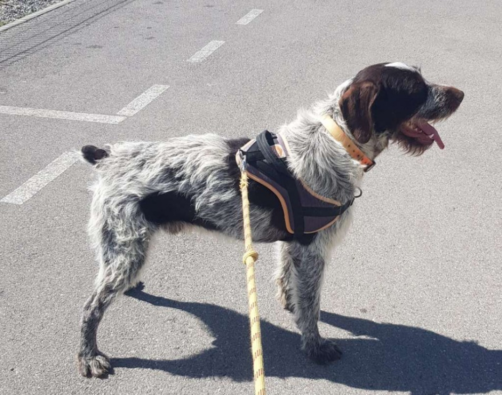 Photo #3 de Albus