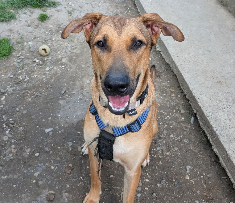 Photo #2 de Thibault