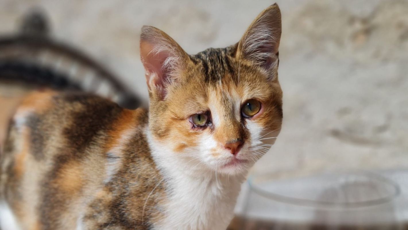 Photo #1 de Varsovie