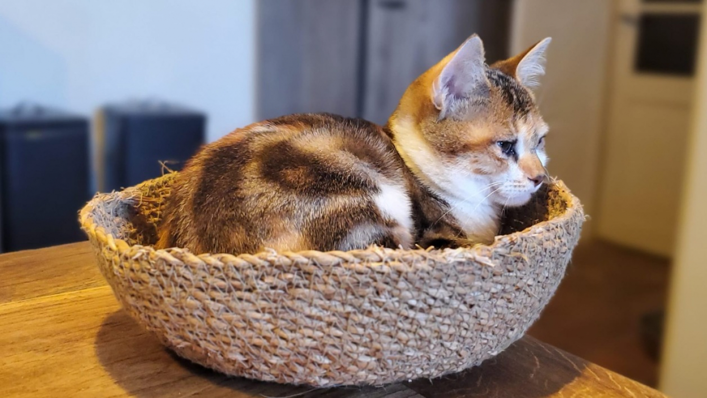 Photo #2 de Varsovie