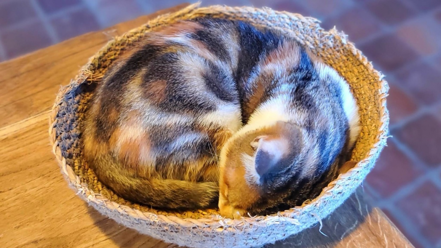 Photo #3 de Varsovie