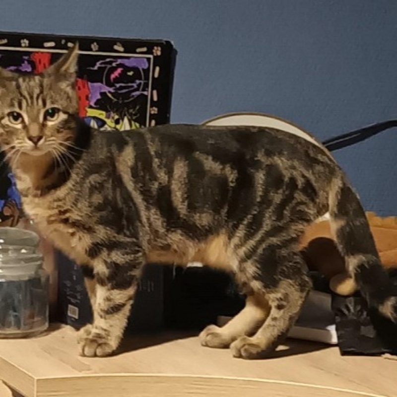 Photo de Zeus