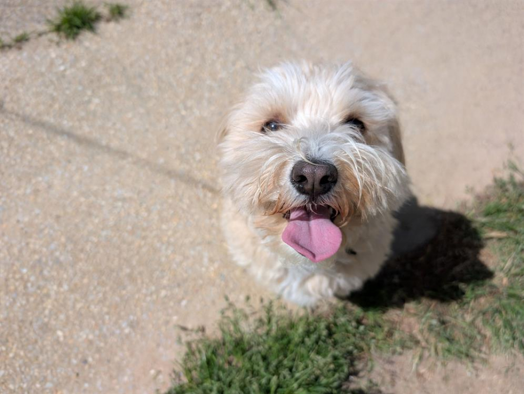 Photo #2 de Sherlock