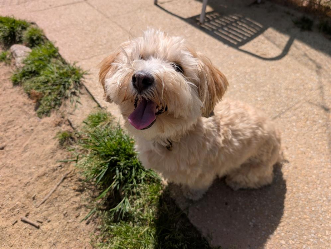 Photo #3 de Sherlock