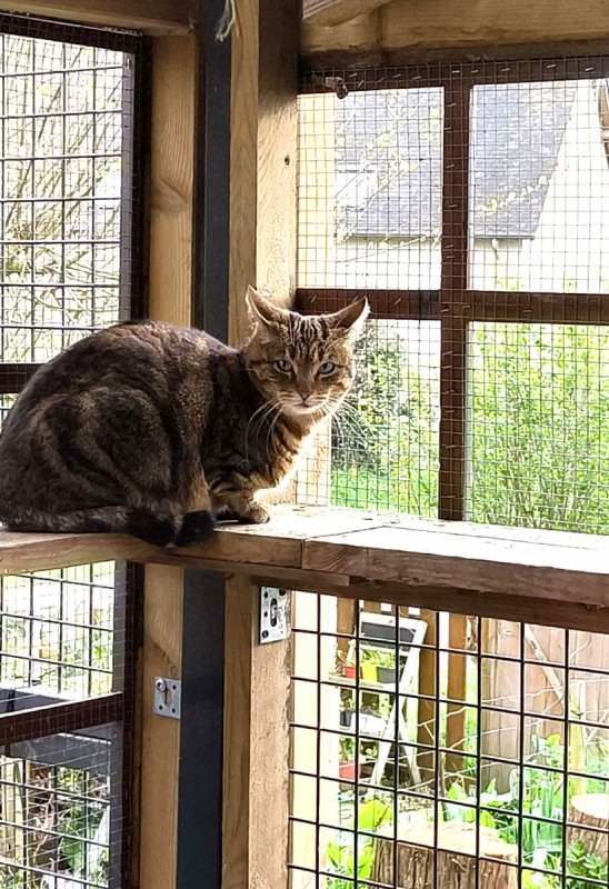 Photo #2 de SECOTINE