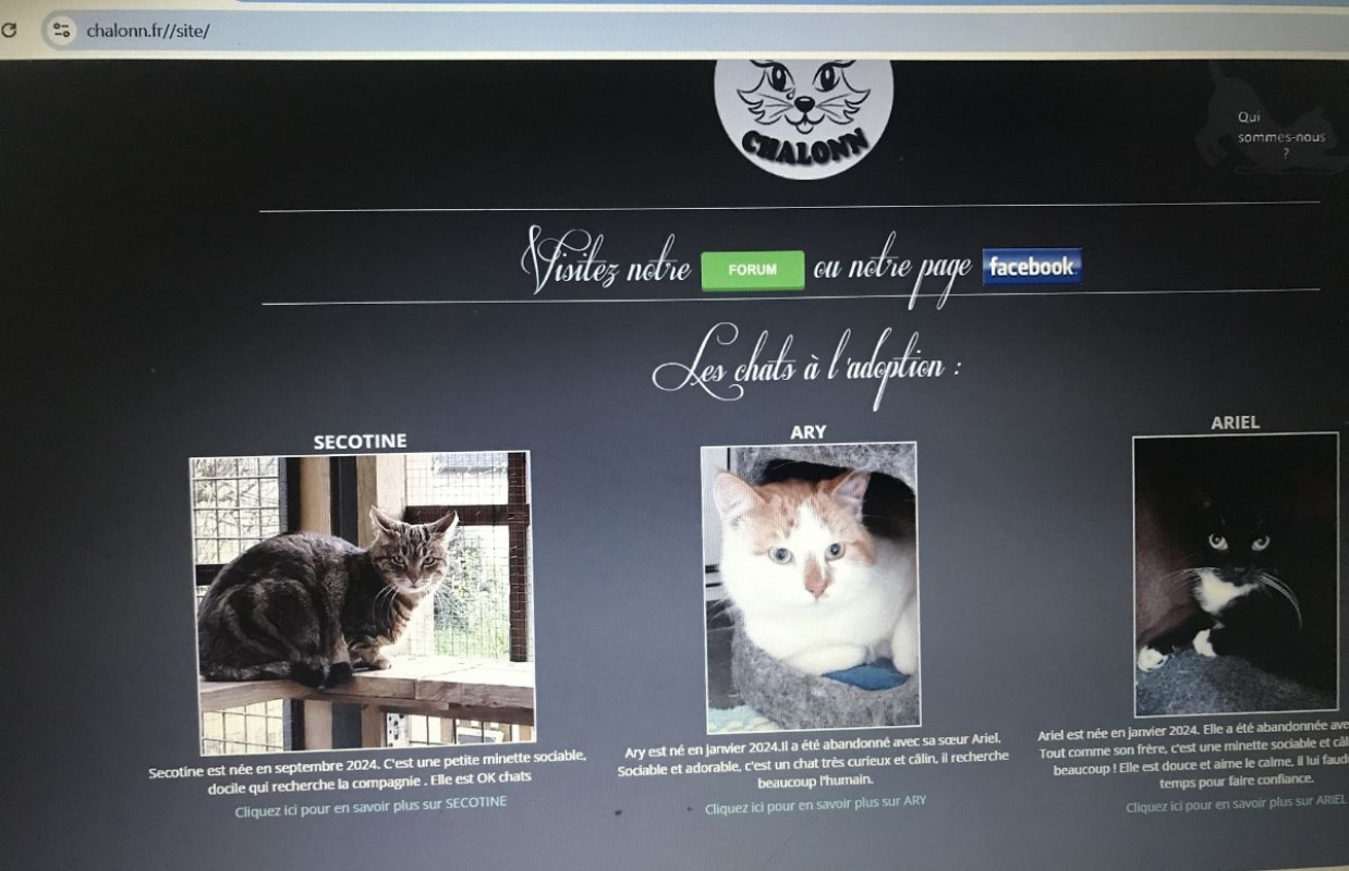 Photo #5 de SECOTINE