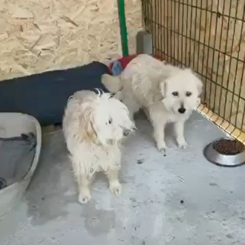 Photo #3 de LADY SUNSHINE