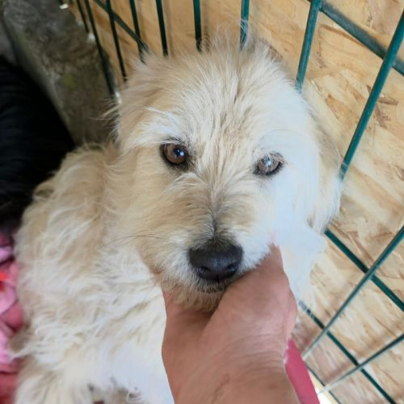 Photo #1 de LADY SUNSHINE