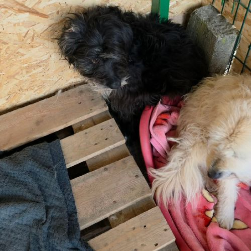 Photo #5 de ANNA-MARY