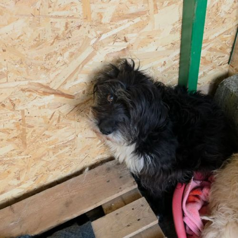 Photo #2 de ANNA-MARY