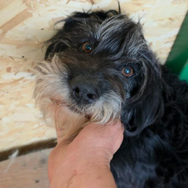 Photo #4 de ANNA-MARY