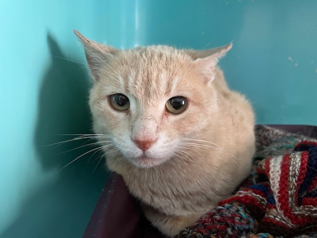 Photo #1 de Babylone