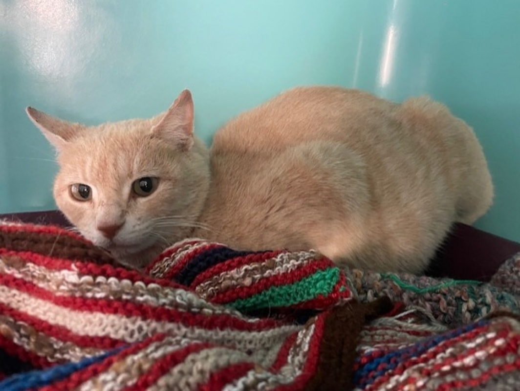 Photo #2 de Babylone