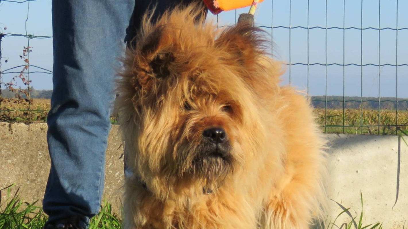 Photo #1 de Coquette