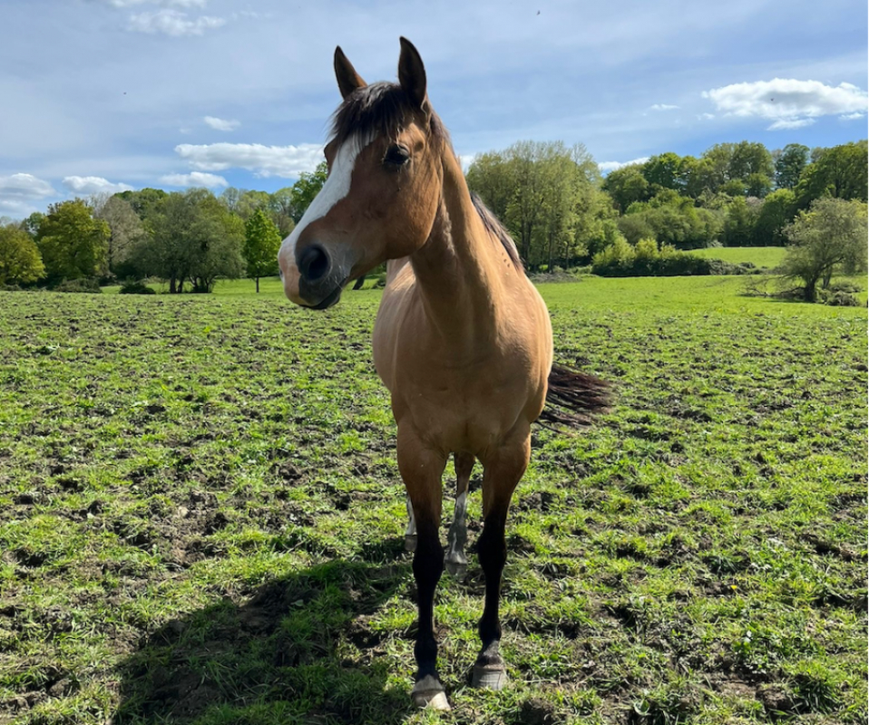 Photo #1 de Californie