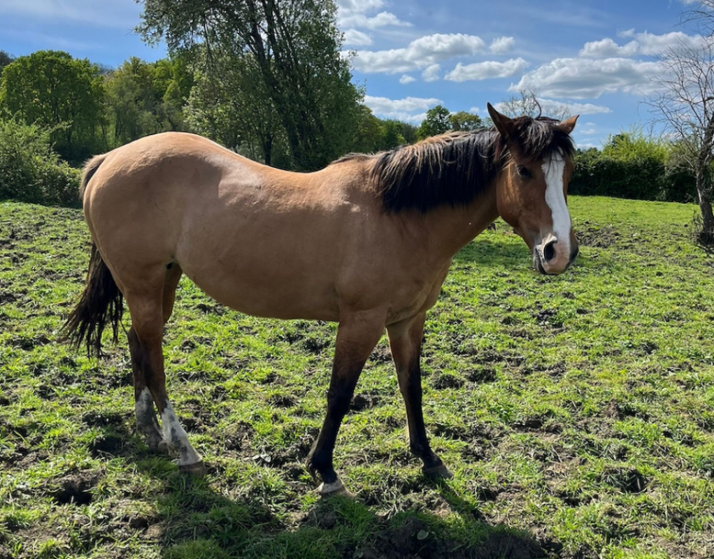 Photo #2 de Californie