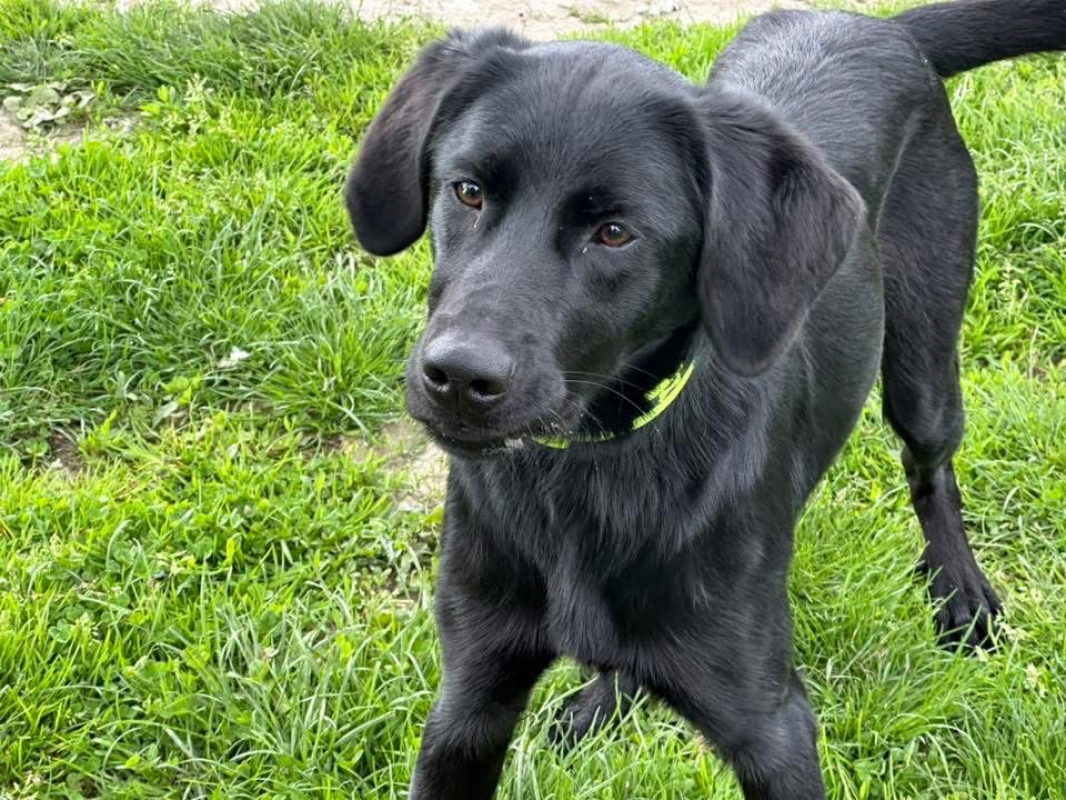 Photo #3 de Capucine