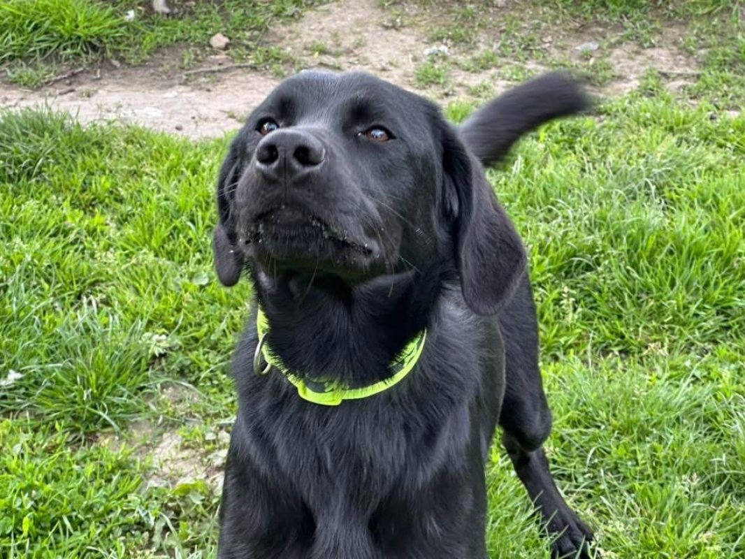 Photo #5 de Capucine