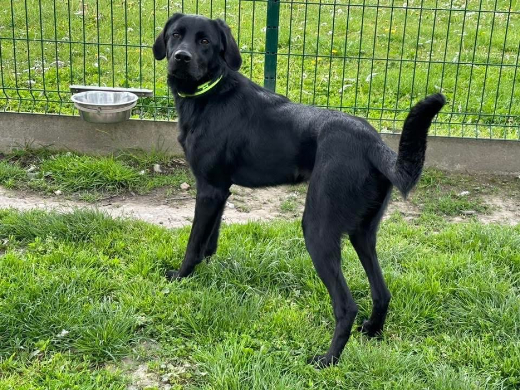 Photo #7 de Capucine