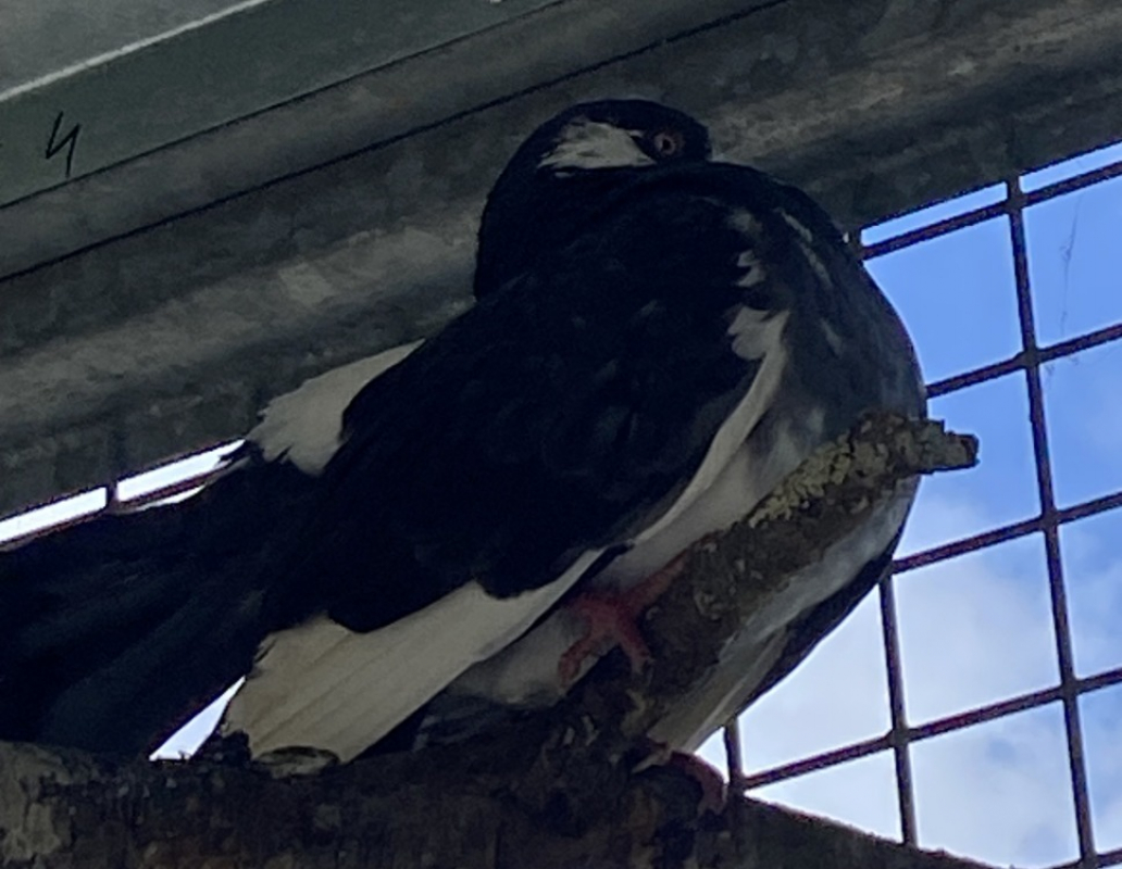 Photo de Etourmi qnac