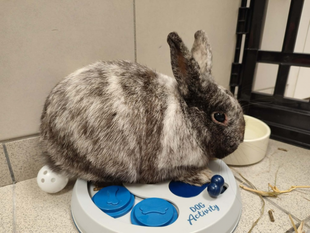 Photo de Laporeille qnac