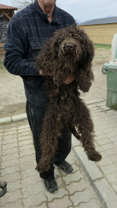 Photo #2 de PATACHOU