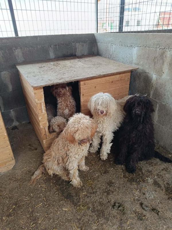 Photo #4 de PATACHOU