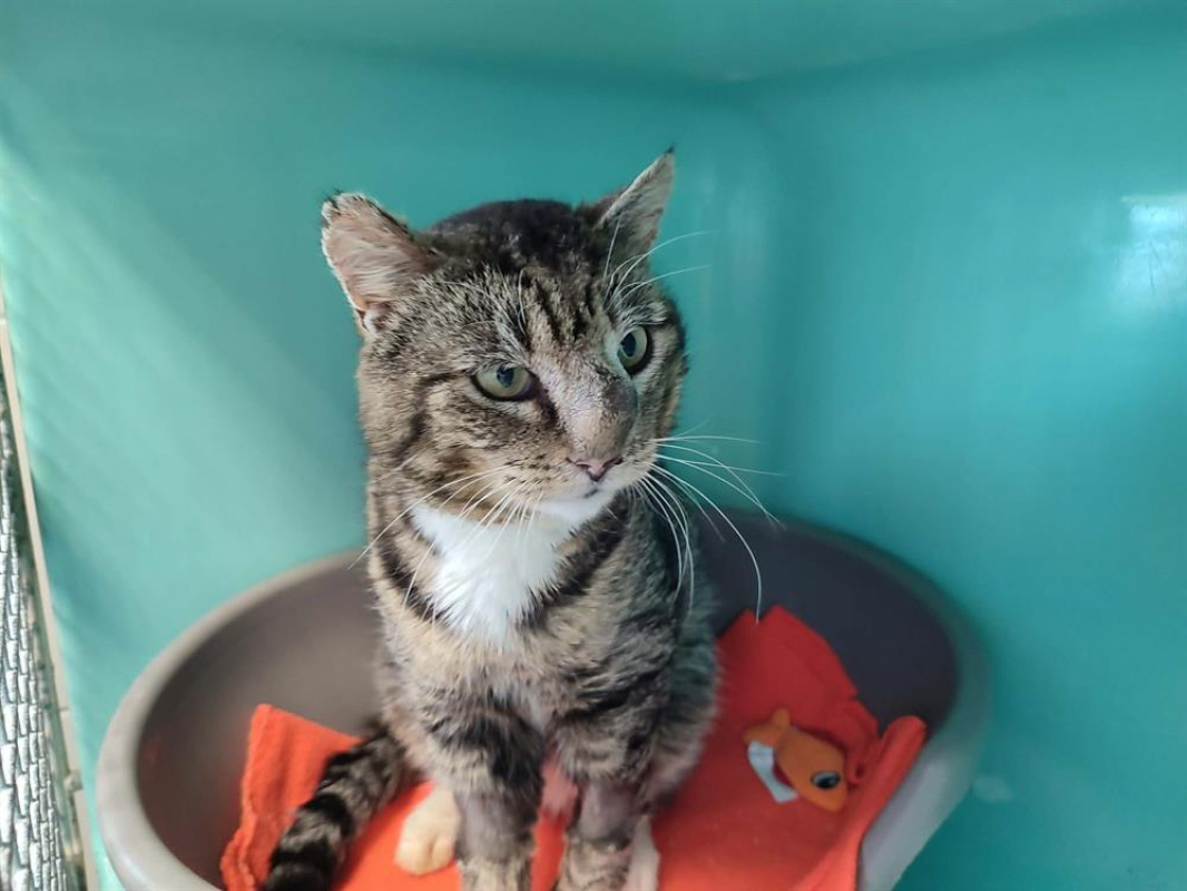 Photo #1 de Davey jones