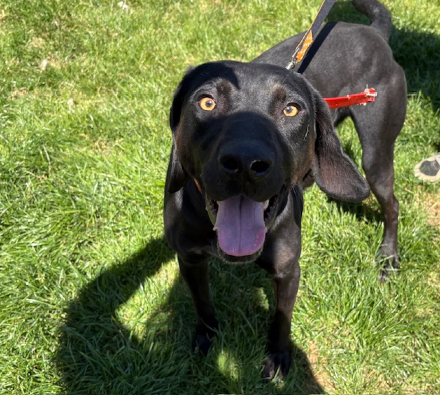 Photo #1 de Tonnerre