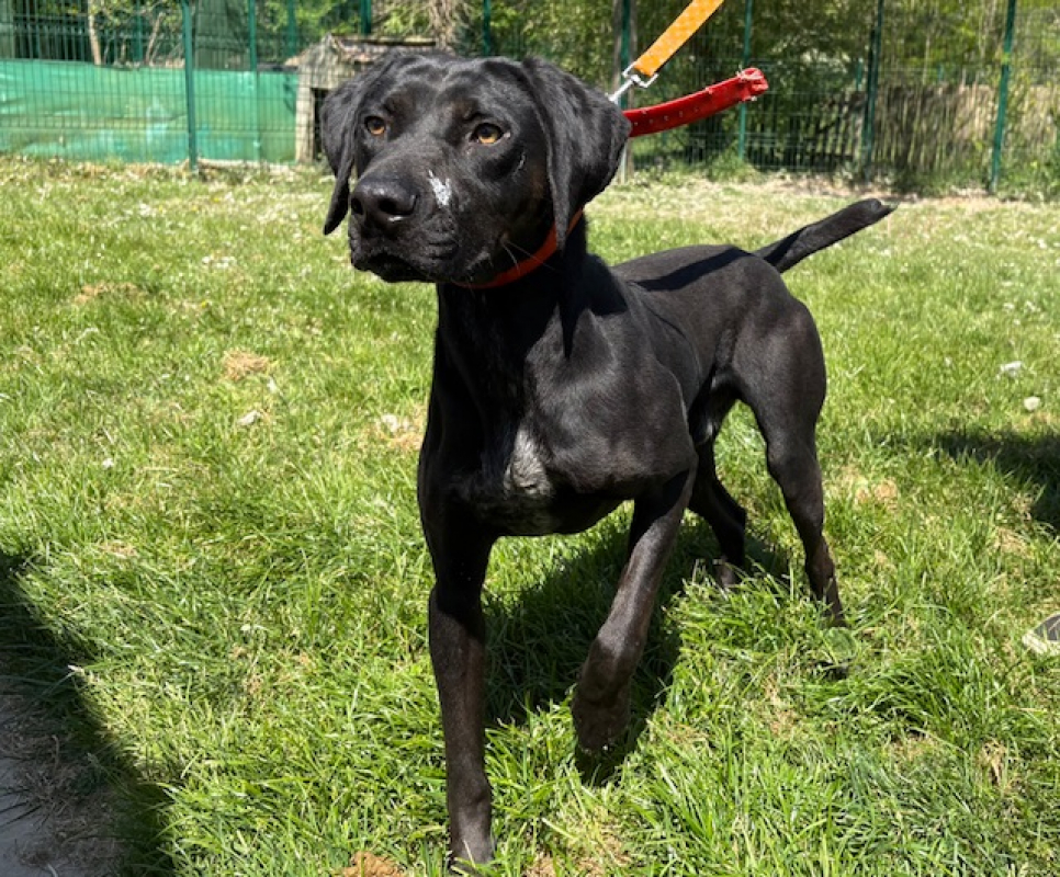 Photo #2 de Tonnerre