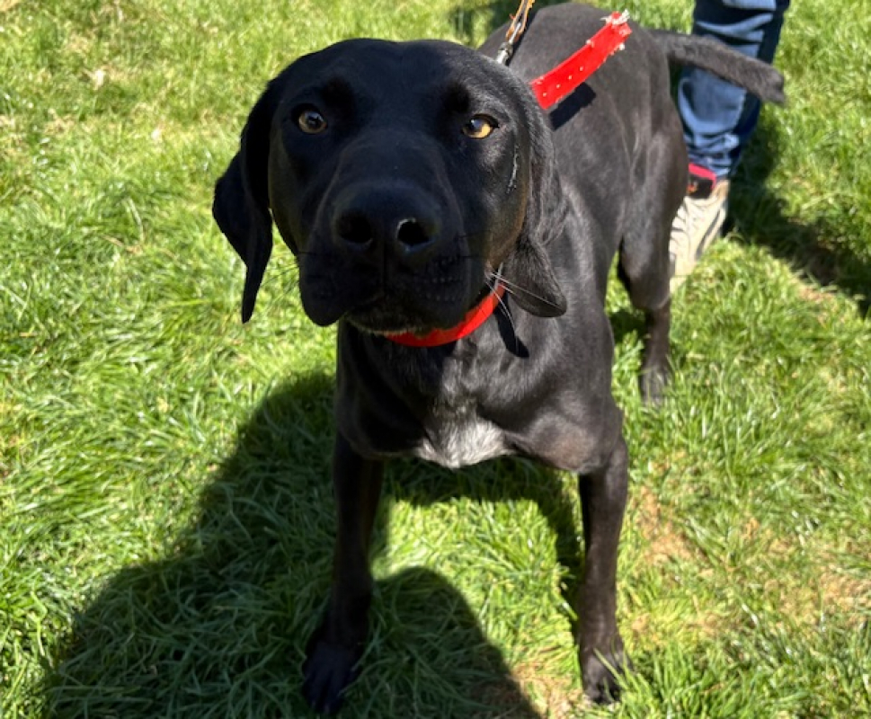 Photo #3 de Tonnerre