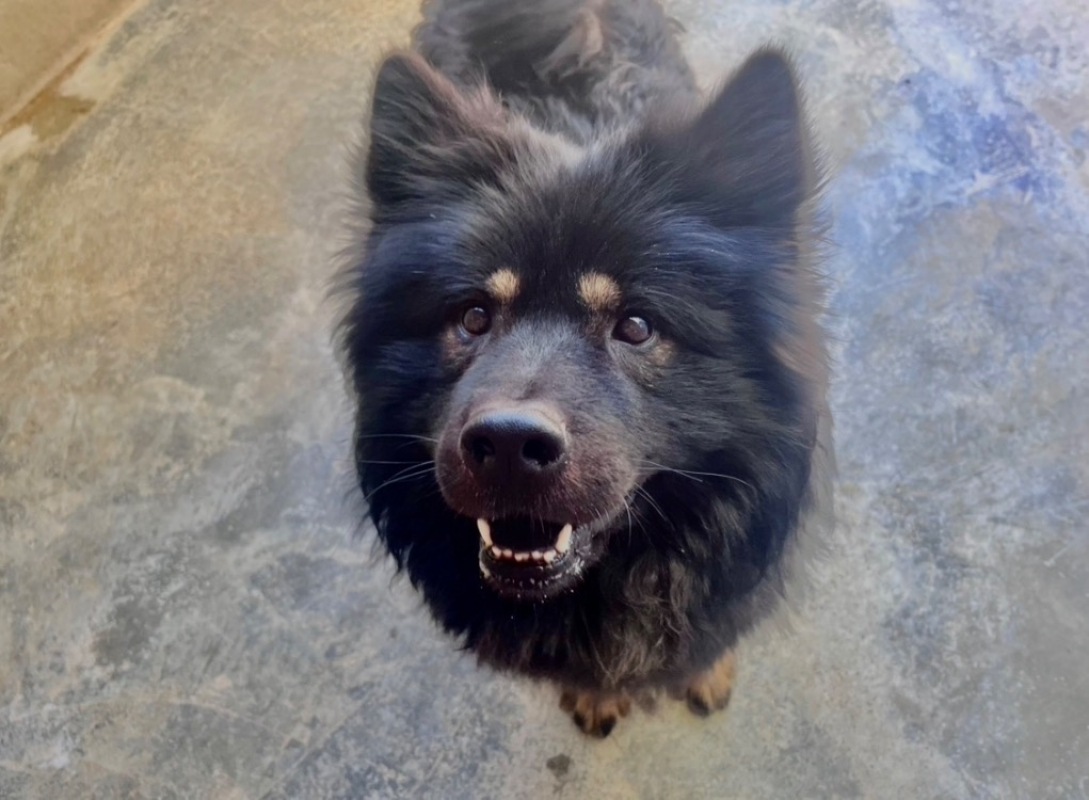 Photo de Mickael réservé