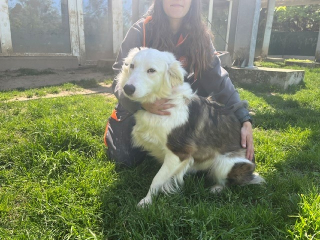 Photo #1 de Ghislaine